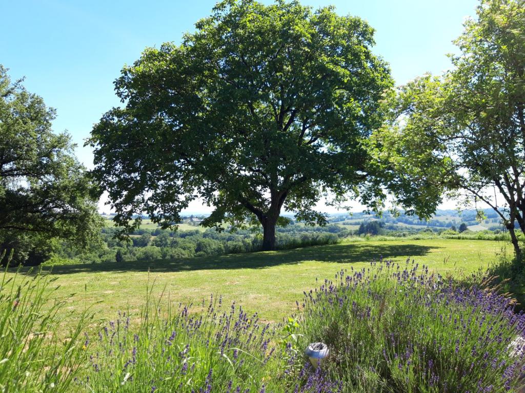 Domaine du Grand Brugeron