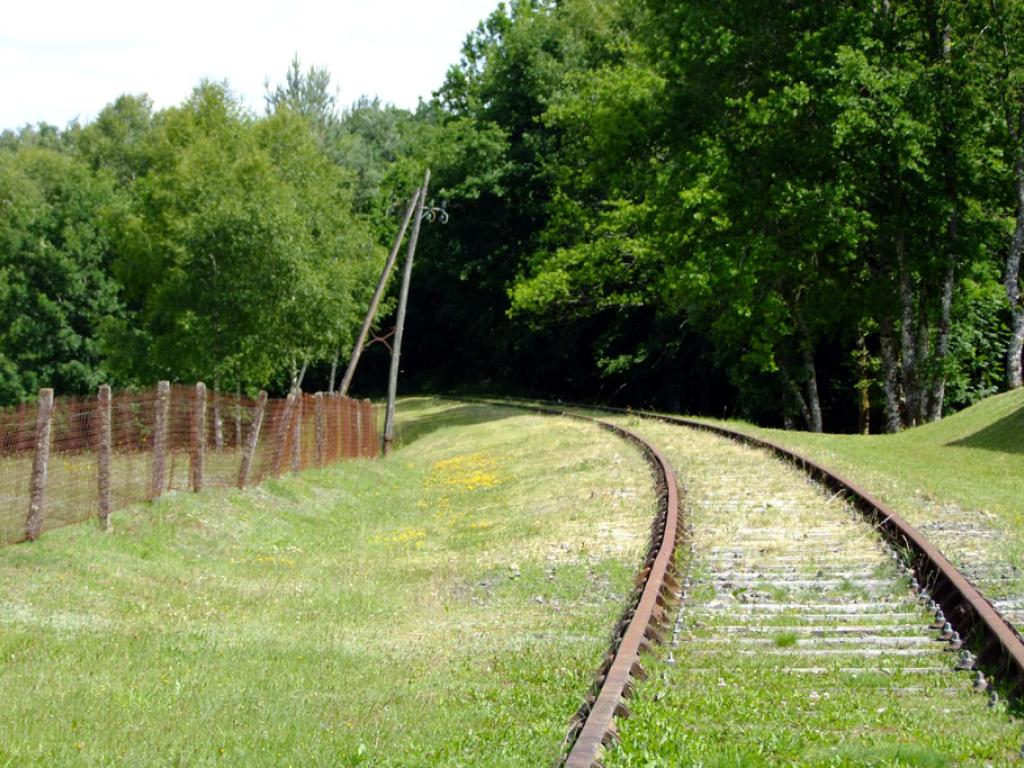 Chemins de traverse