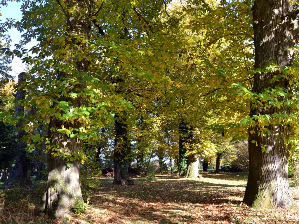 Arboretum Al Gaulhia