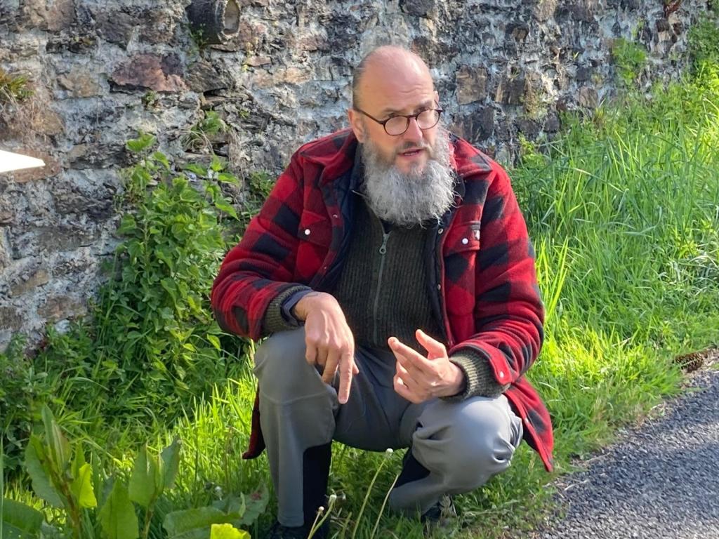 A la découverte des plantes comestibles