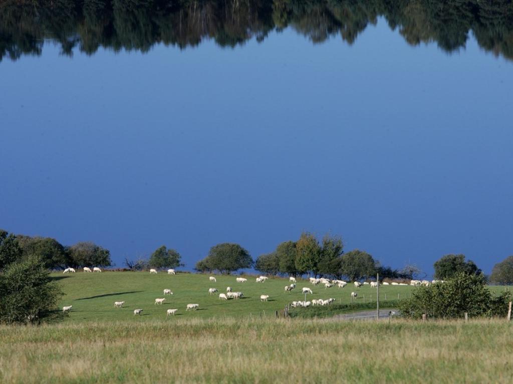 Golf rural du Chammet