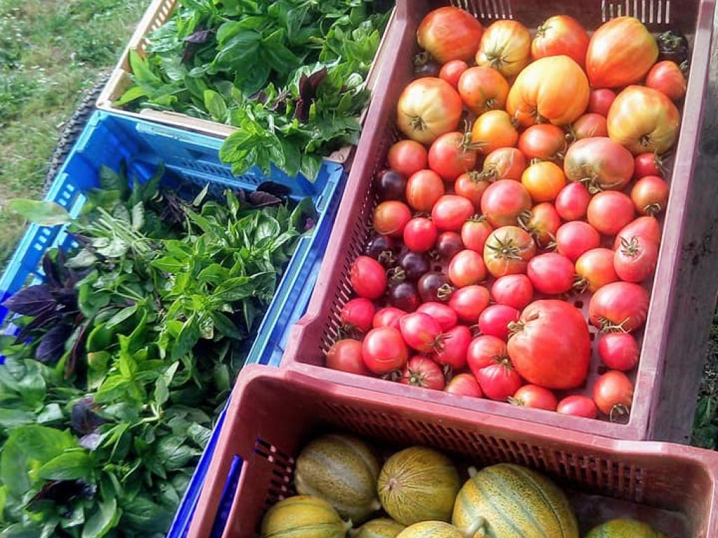 La ferme des Tuileries La ferme des Tuileries