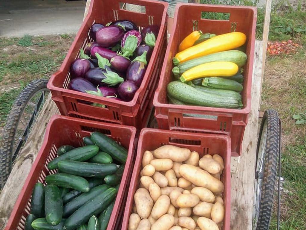 La ferme des Tuileries La ferme des Tuileries