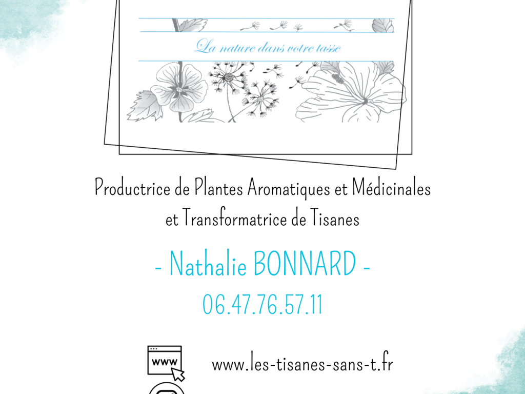 Les tisanes sans T Les tisanes sans T