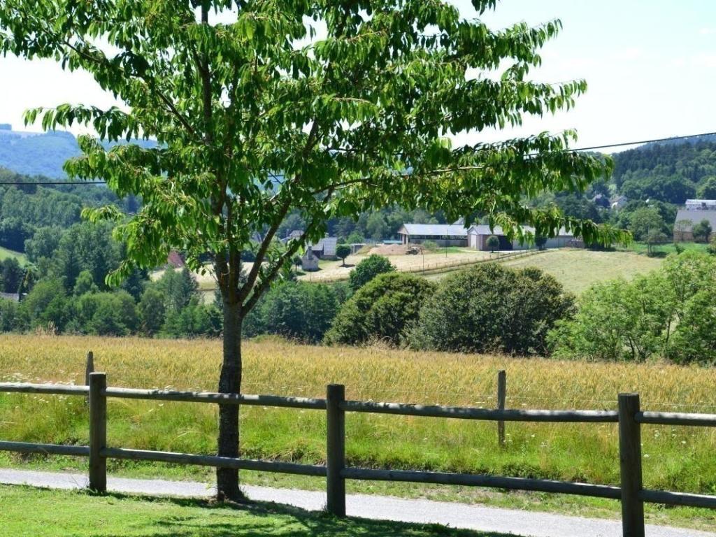 Le fournil de Lalo Le fournil de Lalo