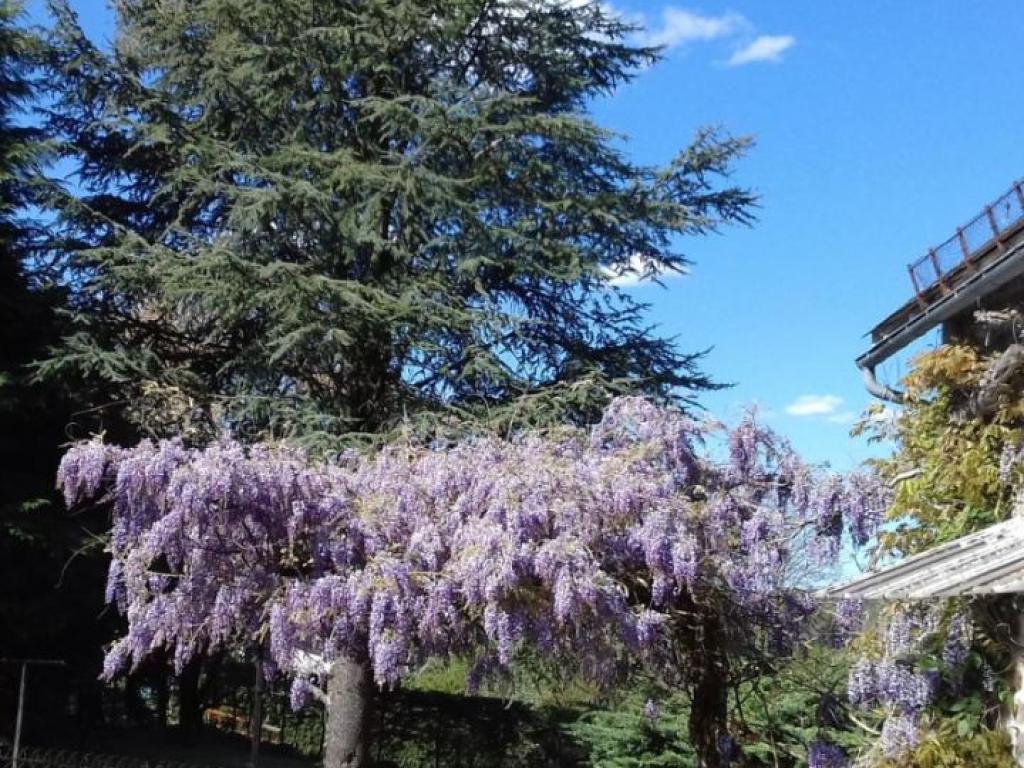 Le Cantou des mille Sources Le Cantou des mille Sources