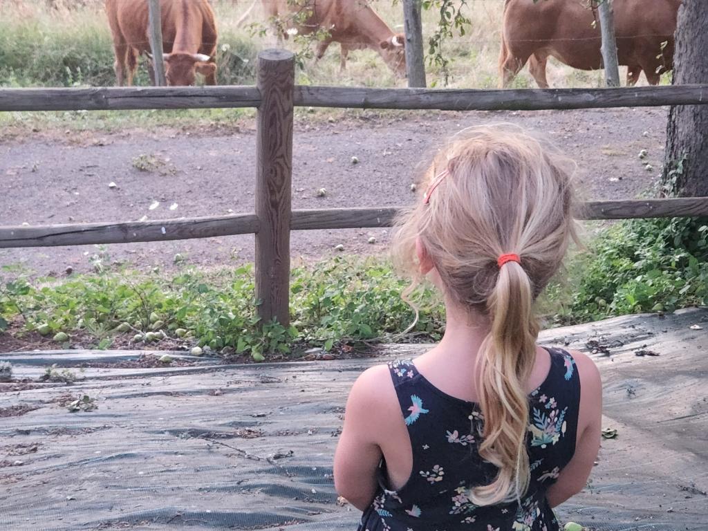 La maison du sabotier La maison du sabotier