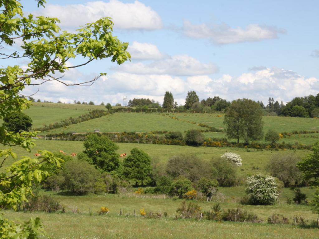Aire de bivouac de la Maison du Parc Naturel Régional de Millevaches Aire de bivouac de la Maison du Parc Naturel Régional de Millevaches
