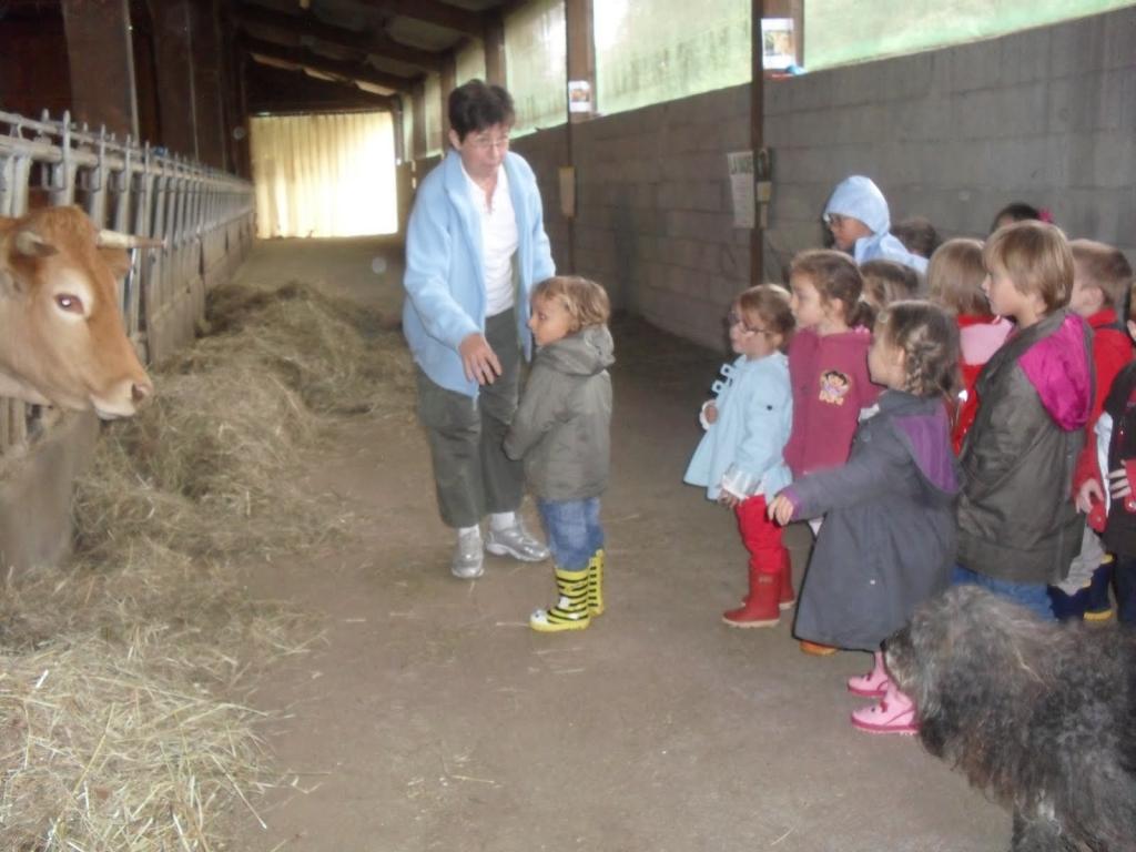 Ferme de la Bitarelle Ferme de la Bitarelle