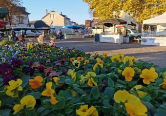 Marché de Pompadour Du 21/12/2024 au 18/1/2025