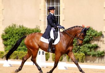 Concours de dressage Pro Elite Du 29 mars au 22 juin 2025