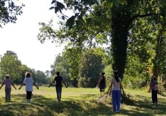 Atelier Qi gong Du 1 au 15 fév 2025