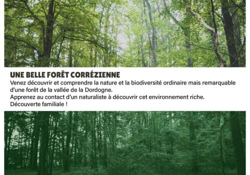 Découvrez en famille la biodiversité de la Forêt_1